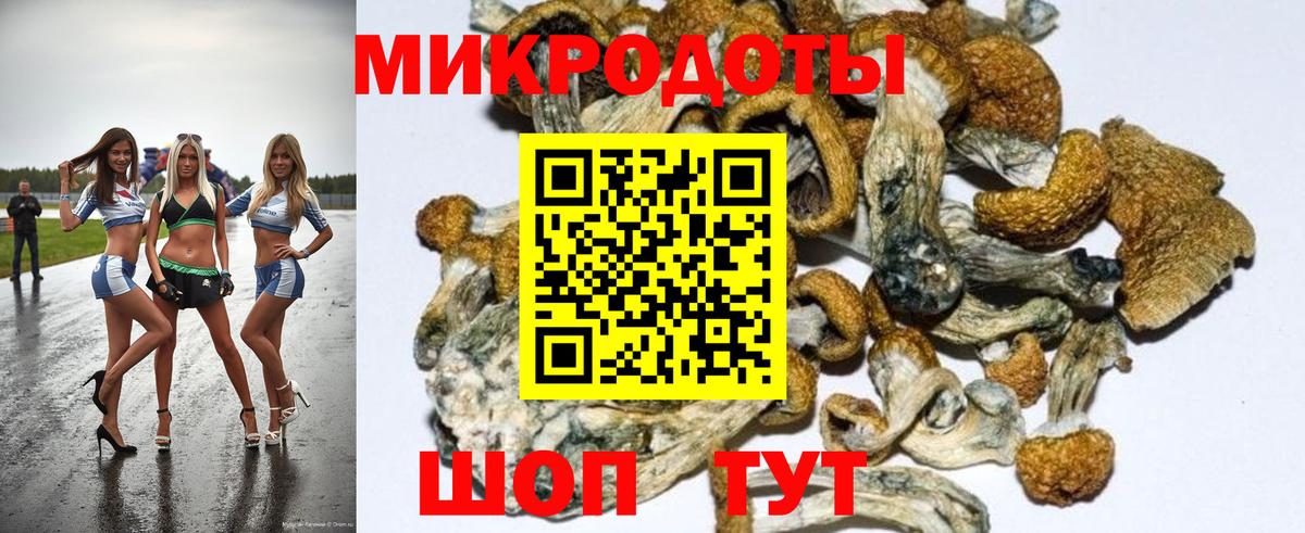 Псилоцибиновые грибы ЛСД Ишим